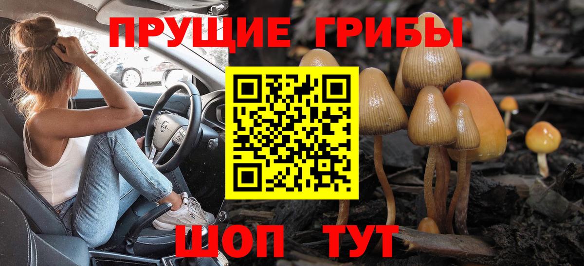 Галлюциногенные грибы мухоморы  Вход с VPN  Луховицы 